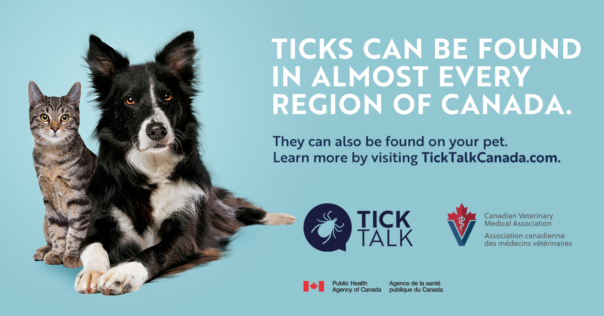Canadian Veterinary Medical Association Tick Talk Campaign campaign creative